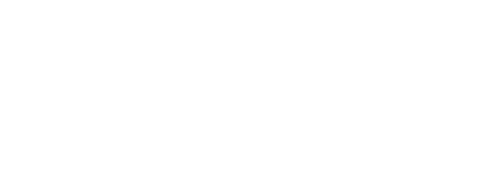 NES-italia-group-elettronic-x2