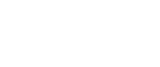 NES-italia-group-homr